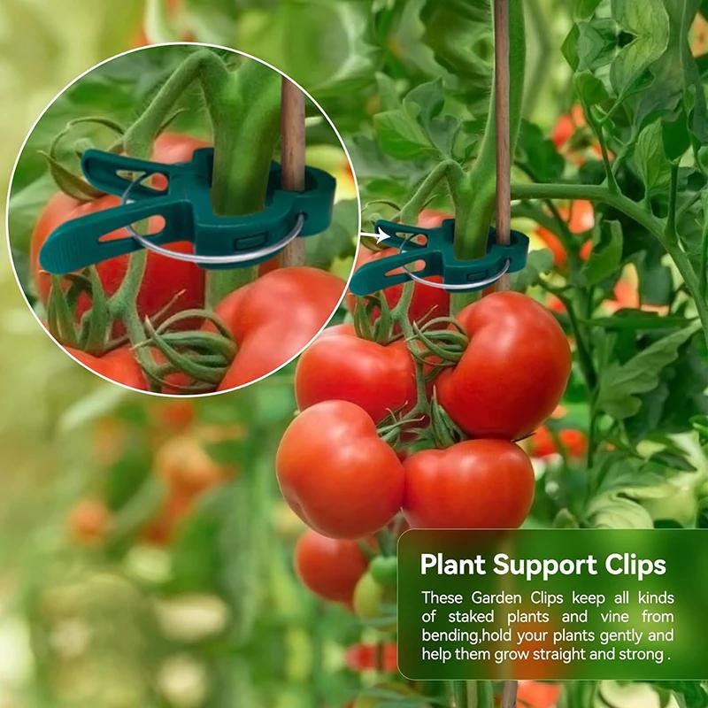 30PCS Plant Clips Reusable Greenhouse Bracket For Fixed Plants Vine Flower Seedling Tomatoes Support Garden Supplies