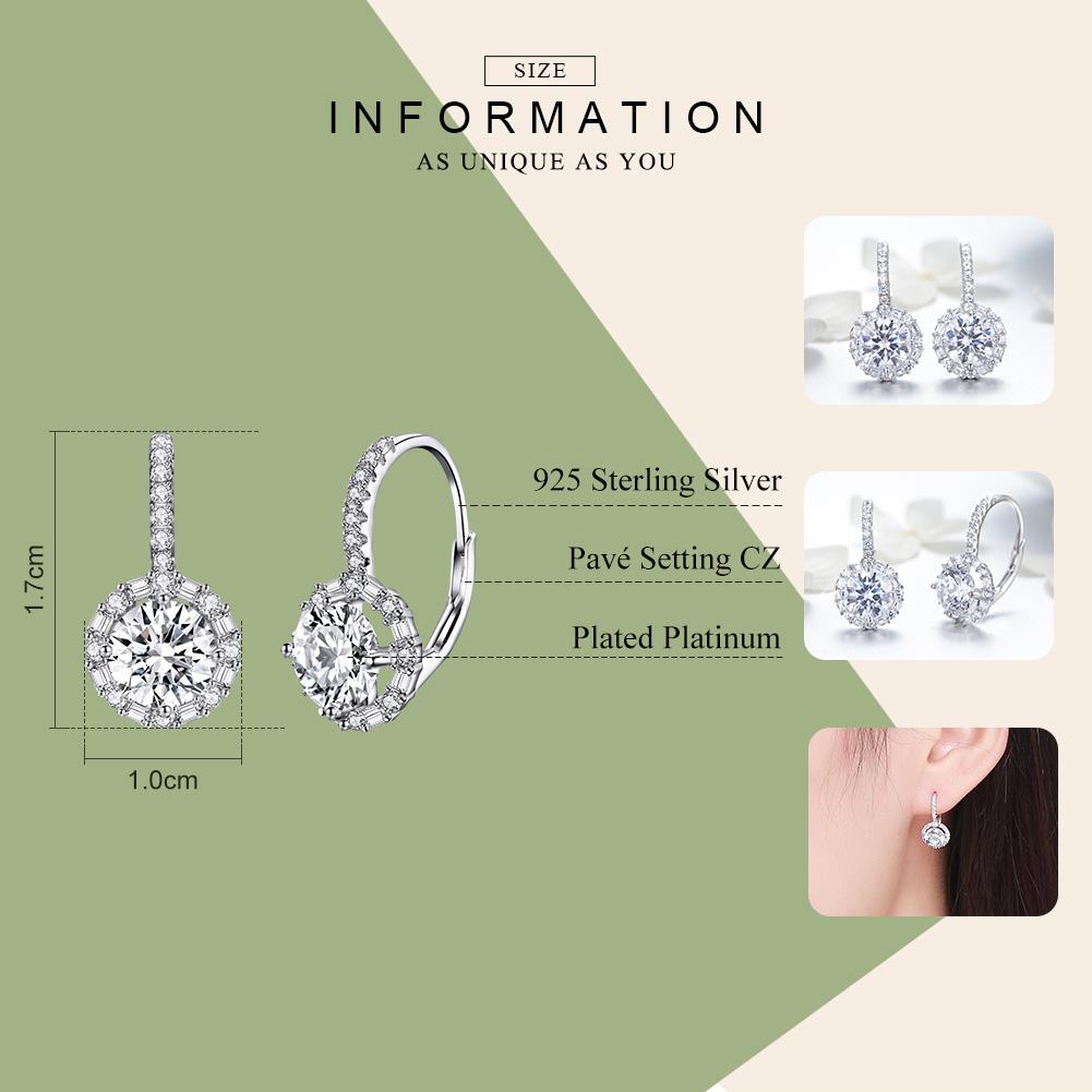 BAMOER Authentic 925 Sterling Silver Dazzling Cubic Zircon Round Zircon Drop Earrings for Women Wedding Silver Jewelry SCE508