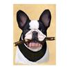 Fashion French Bulldog Animal Posters and Prints Home Decor Art Deco HD Quality Kindergarten Kids Room Poster Canvas Painting