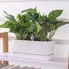 with Drainage Hole Hydroponics Plant Pot Double Layer Flower Planter  Home Office Decor