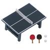 Dollhouse Table Tennis Set Resin Realistic Miniature Table Tennis Model Decoration for 1:12