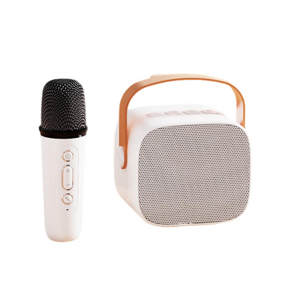 Мини Караоке Машина с Набором Микрофонов Портативная Беспроводная Колонка для Детей Подростков Дома Семейных Вечеринок Мероприятий на Открытом Воздухе