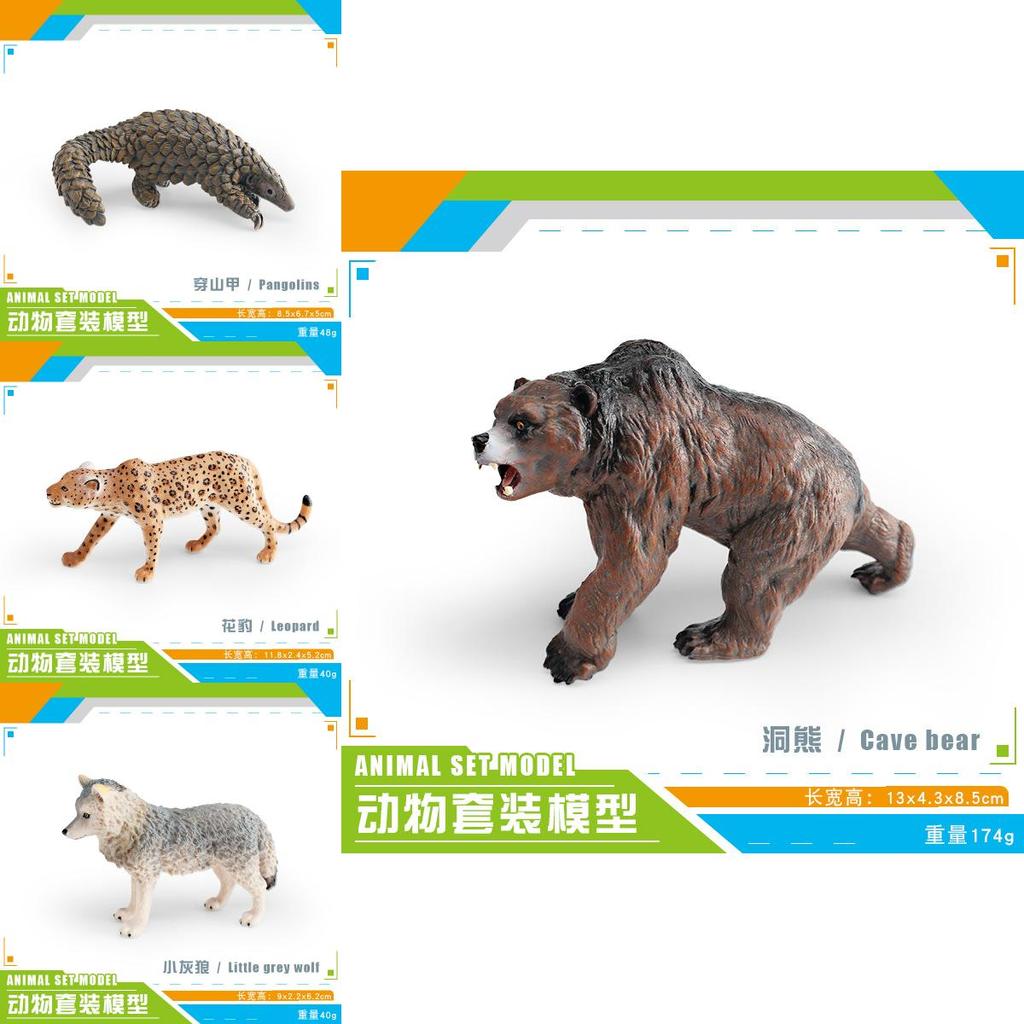 Медведи Детская Коллекция Диких Животных ПВХ Фигурки С Реалистичным Дизайном Для Обучения И Декора