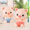 Strap Pig Doll Rag Doll Couple Plush Toy Girls Sleeping Pillow Super Soft Doll Birthday Gift