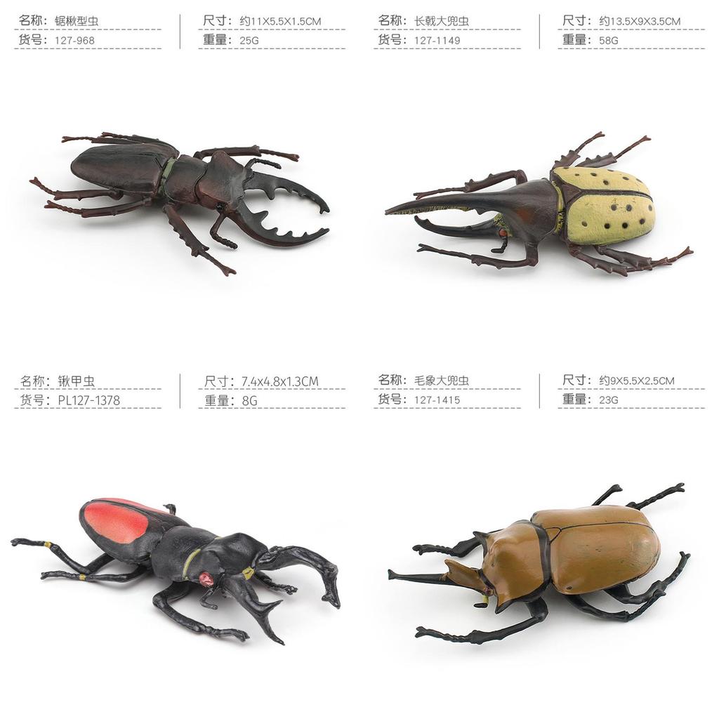 Insect Animal Model Pvc Collection For Educational Display And Collection Enthusiasts