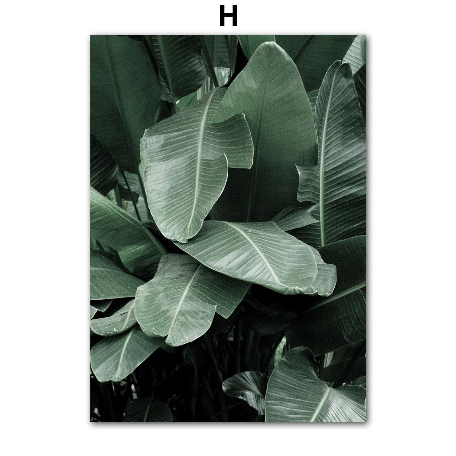 Тропические растения, пальмовые листья, белый цветок, настенная живопись на холсте, плакаты на скандинавскую тему и принты, настенные панно для декора гостиной