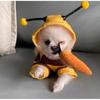 Outfit Puppy Apparel Polyester Bee Hoodie New Dog Cat Hoodie