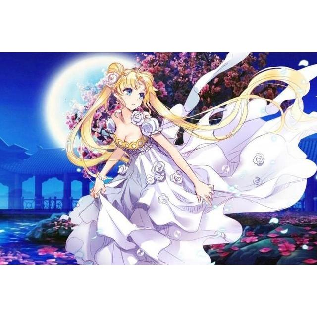 5D DIY Diamond Painting Sailor Moon Art Diamond Embroidery Rhinestones Decorations for Home