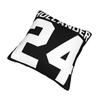 Heated Rivalry Pillow Cover Stuff Printing Cushion Cover Decoration Hollander And Ilya Rozanov Throw Pillow Case Multiple Sizes