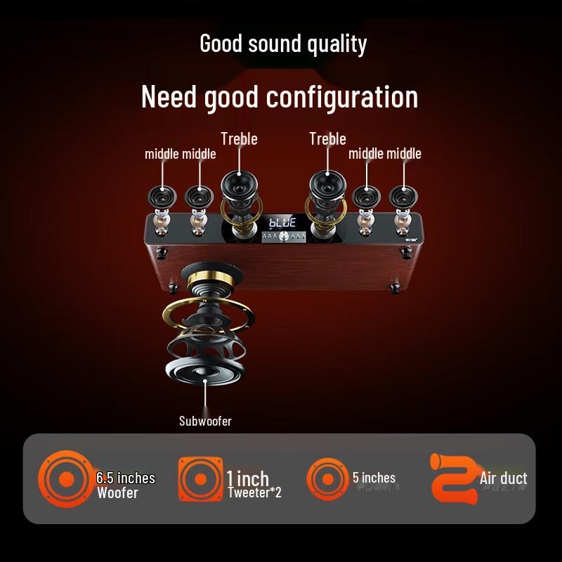 Soaiy SA-205 Home KTV Bluetooth Audio System