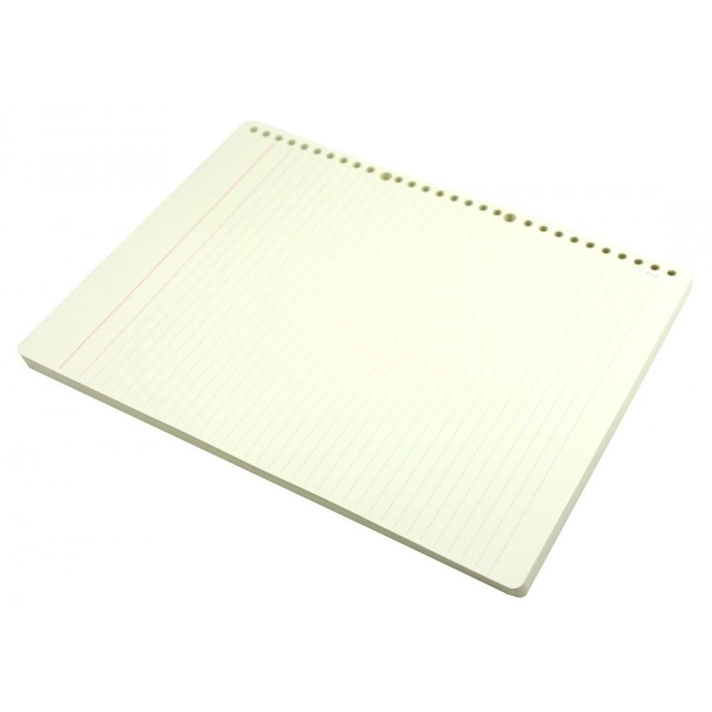 KOKUYO Трехцветная печать, вкладыш А4, 30 отверстий, 100 листов, Li-176