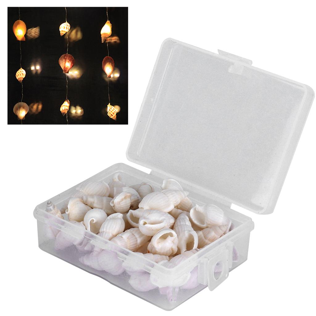 Natural Shells Sea Snail Jewelry Craft DIY Conch Home Wedding Decorations Ornament