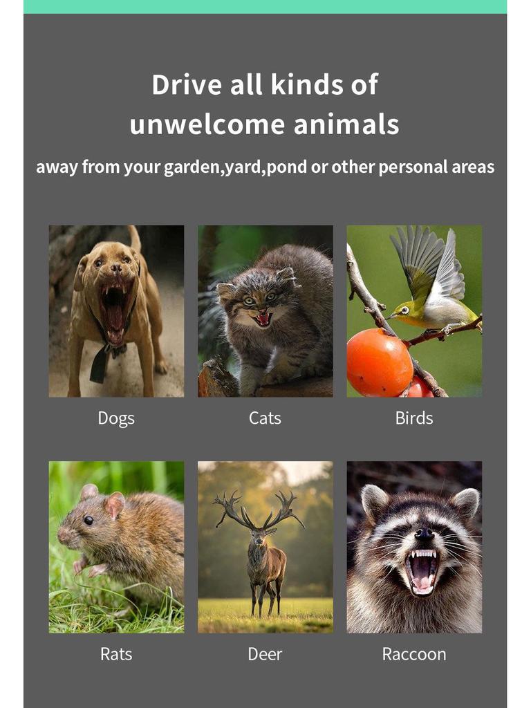 High-Power Multifunctional Animal Repeller: Bird, Snake, Mouse Control for Outdoors
