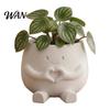 Desktop Plant Ornament Flowerpot Ornaments 3D Printing Cute Holder Small Durable PLA Home Decoration for Succulent Plants Pot Office Desk