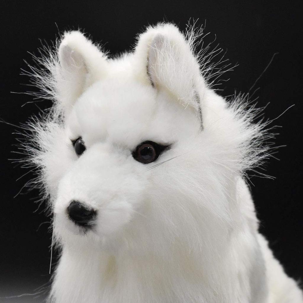 BH6823 HANSA Arctic Fox 30