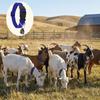 Durable Adjustable Anti-lost Pet Collar Quick Release Buckle with Bell Goat Collar Breathable Horse Collar Farm Stable