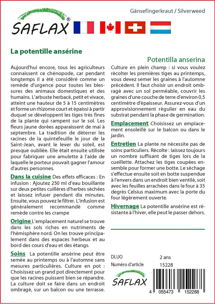 SAFLAX Garden in the Bag - Лапчатка гусиная - 20 семян - С субстратом в подходящем пакете-стойке - Лапчатка гусиная