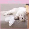 Pet Play Toy Feather Wand With Plastic And Steel Components For Cats