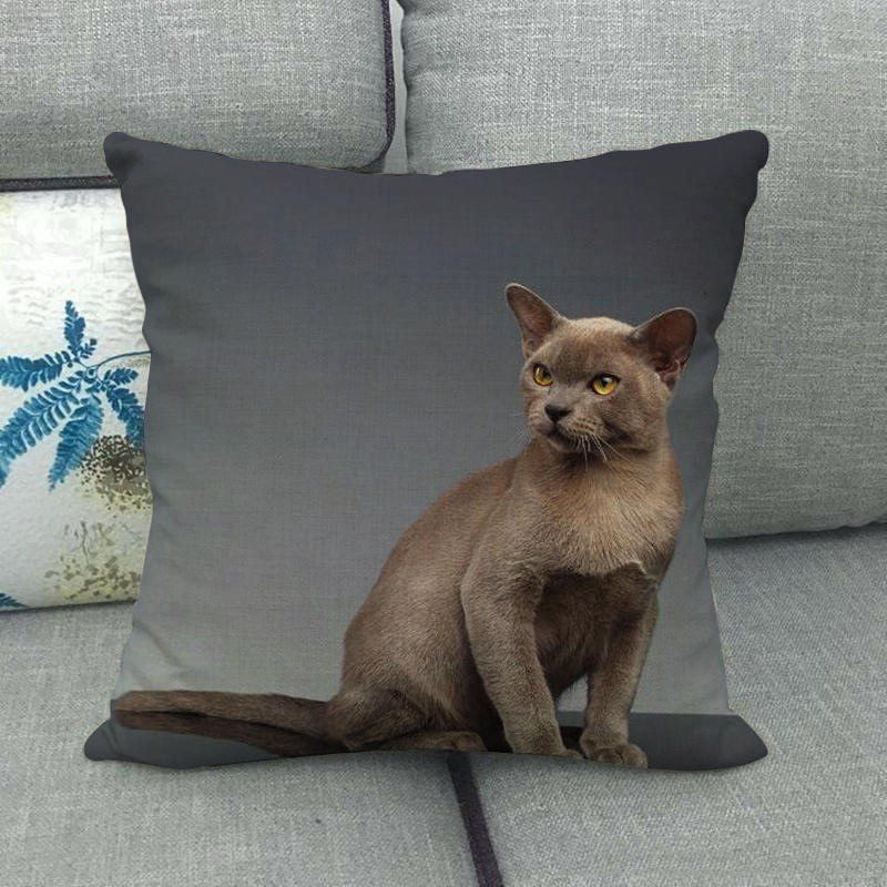 Модные кошки и милые домашние животные Чехлы на подушки из короткого плюша с цифровой печатью для автомобильного дивана офисной подушки домашние товары