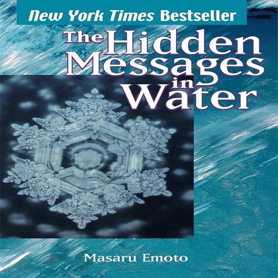 The Hidden Messages in Paperback