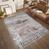 Washable Printed Carpet RVGHOME0520