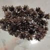 High-Grade Luxury Air-Dried Imported Flower Bouquet for DIY & Decoration