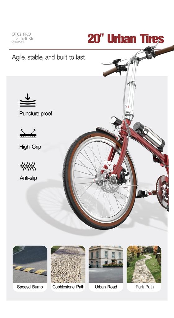 ONESPORT OT02 Pro 250W36V5.2Ah Battery 25km Range Torque Sensor Fenders & LCD Display