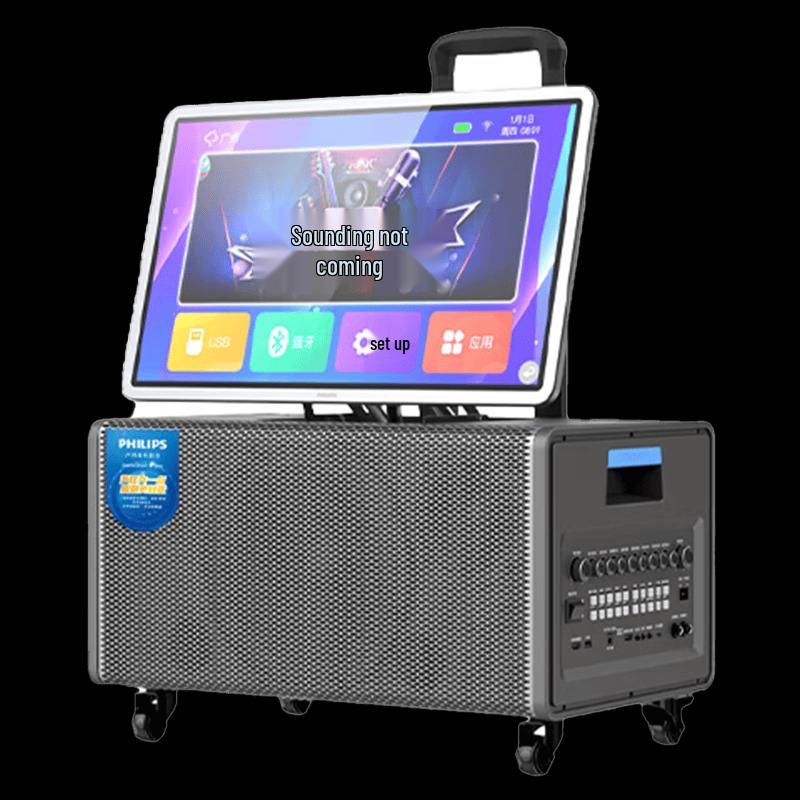 Philips Портативная система KTV SD290 с дисплеем (Китайская версия)