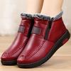 Winter New Plus Velvet Thickening Warm Ladies Short Boots Side Zipper Non-slip Waterproof Snow Boots