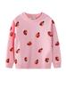 Круглый вырез, длинный рукав, худи для девочек в европейском и американском стиле - Коллекция Весна/Осень 2026