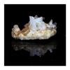 Stones and Minerals - FOR JEWELRY - Soul Quartz + Calcite - 74.4 Ct - Certificate of Authenticity - Rare