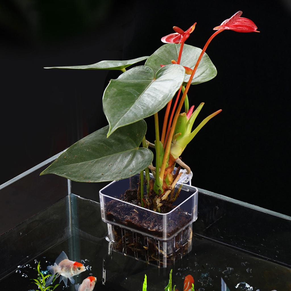 Aquarium Plant Holder Aquatic Plant for Classical Rimmed Fish Tanks Hangings Pots for Rimless Aquascapes Decorations
