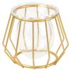 Nordic Golden Glass Vase Iron Line Vase Metal Home Decor Modern Plant Holder Terrarium Geometric Hydroponic Plant Flower