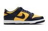 Nike Dunk Low Michigan 2021/2024 GS CW1590-700