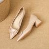 Coarse Heel Single Shoes Women's Nude Pointed Shoes Women's 2025 New Autumn and Winter Light Mouth V Buckle Commuter Temperament Women's Shoes G45-5