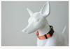 PLATTCO Новый Стиль Прочный Нейлоновый Ошейник для Животных, Удобный Имитирующий Дизайн, PDC334
