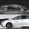 Боковые наклейки на двери автомобиля для Peugeot 206 207 208 307 308 407 107 301 306 406 408 508 607 2008 406 408 3008 4008 5008 Аксессуары