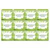 Yejimiin Forest Story Pantyliner Long 20ct X 12pk
