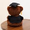 Stuffed Soft Graduation Bear Doll 25cm Sitting Bear Doll New Plush Dr. Bear  Graduation Gift