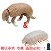 Bandai Genuine Gashapon Toys Biological Simulation Model Pillbug Armadillo Joints Movable Action Figure Ornament Poseable Articulated Scale Detailed