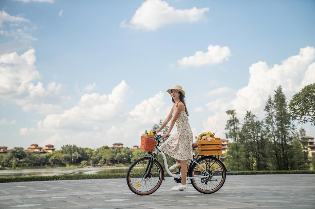 DYU Электровелосипед C6 PRO для города, аккумулятор 36 В 15,6 Ач, двигатель 250 Вт, запас хода 80 км, максимальная скорость 25 км/ч, шины 26*2,125 дюйма, электровелосипед