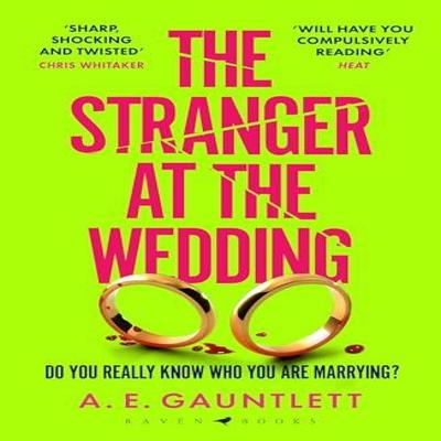 The Stranger At the Wedding by A. E. Gauntlett Paperback Book 9781526659774