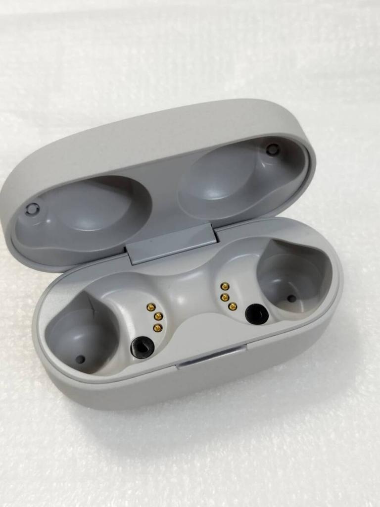SONY WF-1000XM4 Charging Case