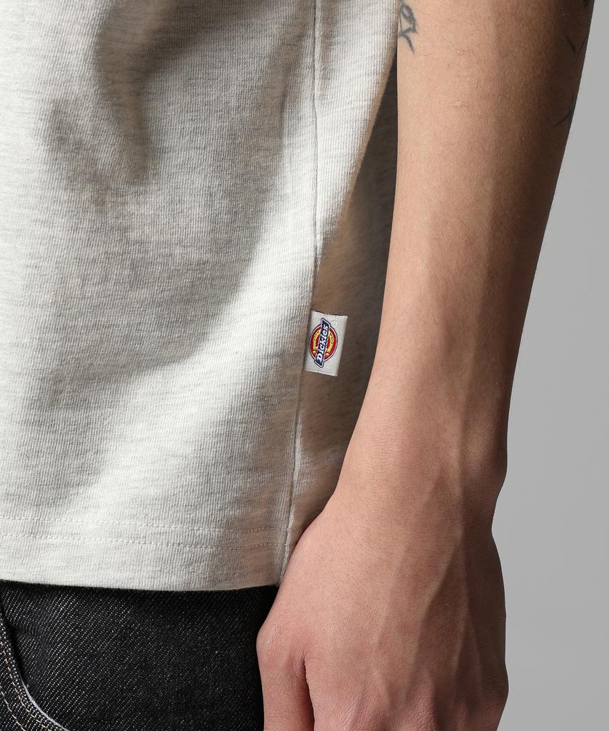 DICKIES Mono Logo Ringer T-Shirt Oatmeal
