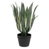 ARTIFICIAL PLANT Agave Americana 35x55 in a pot