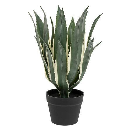 ARTIFICIAL PLANT Agave Americana 35x55 in a pot