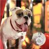 Engraving Dog Id Name Tag Personalized Pet Dog Cat Address Tags Stainless Steel Puppy Kitten Name Collar Pendant Dog Accessories