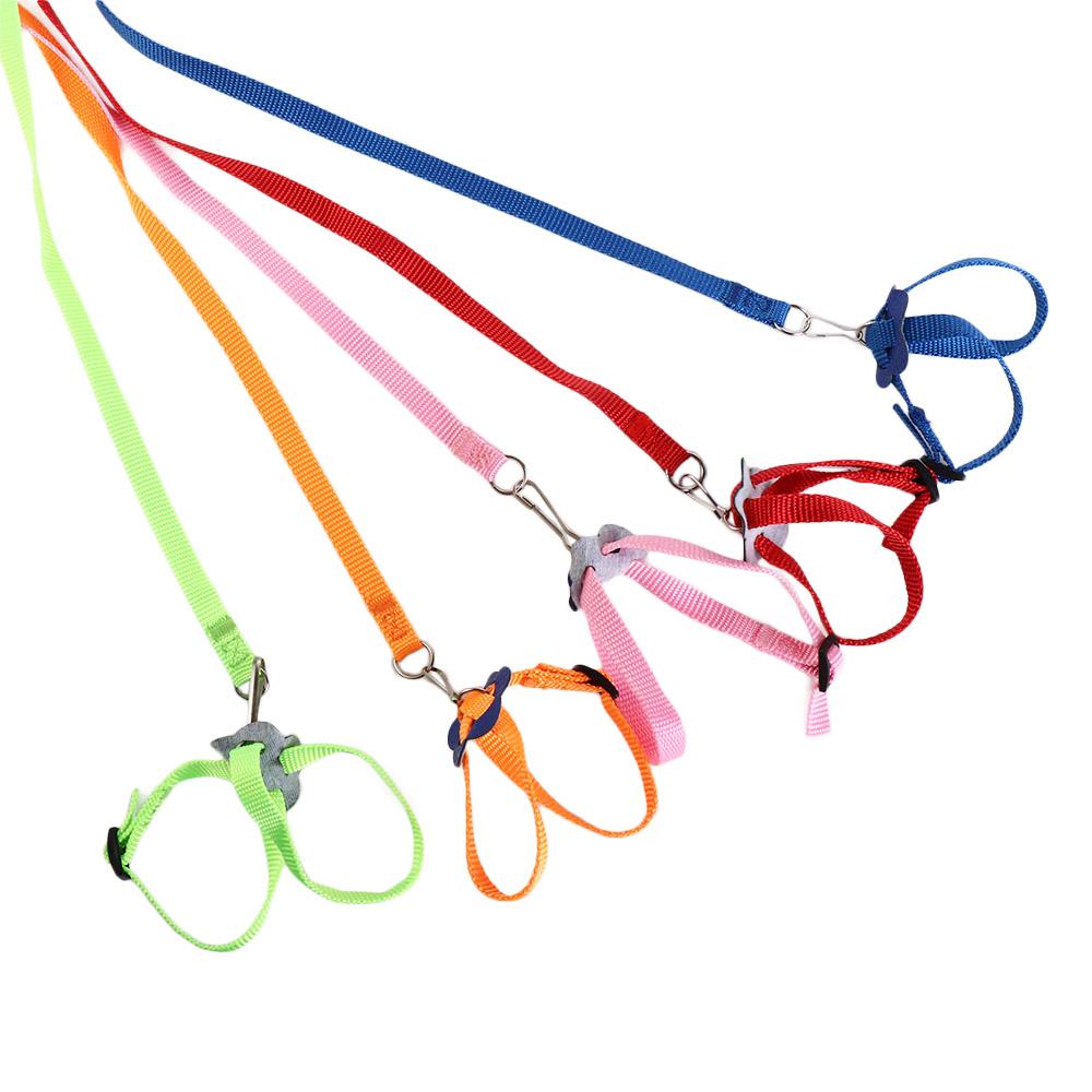 Поводок для дрессировки попугаев Поводок для хомяков Ошейник для птиц Шлейка для домашних животных Шлейка для домашних животных Тяговый ремень для домашних животных