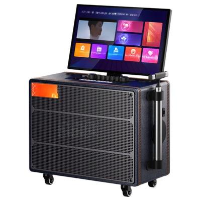 Портативная караоке-система KTV SANSUI PU106, динамик, штекер CN (адаптер в комплекте)