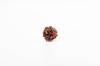 Natural 3 Mukhi Rudraksha Bead | Certified Authentic Rudraksha for Spiritual Growth | Genuine Sacred Bead for Meditation & Healing